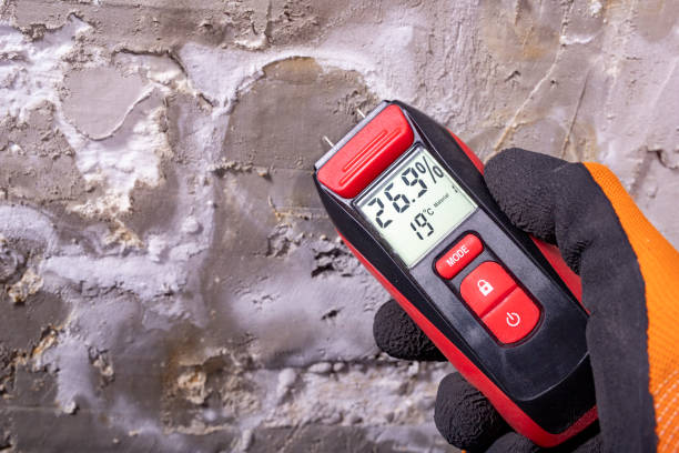 Best Emergency Mold Removal  in Chapman, KS
