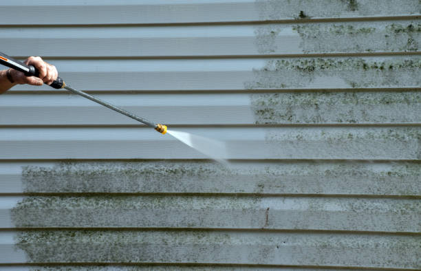 Attic Mold Removal in Chapman, KS