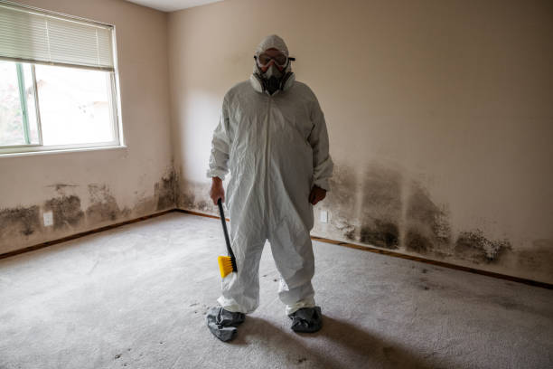 Best Mold Testing  in Chapman, KS